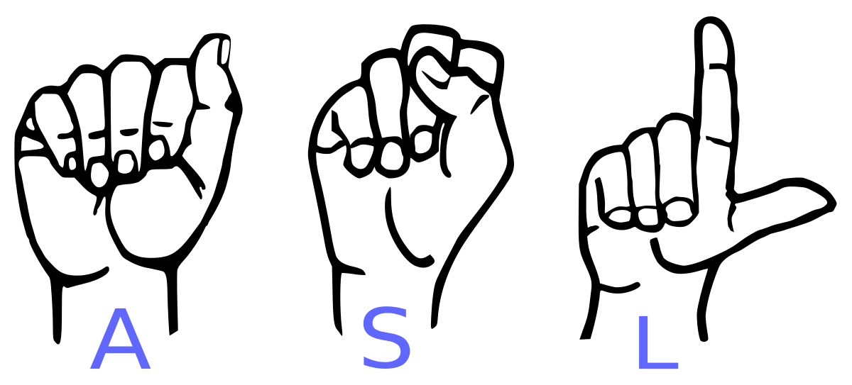 Program Director 